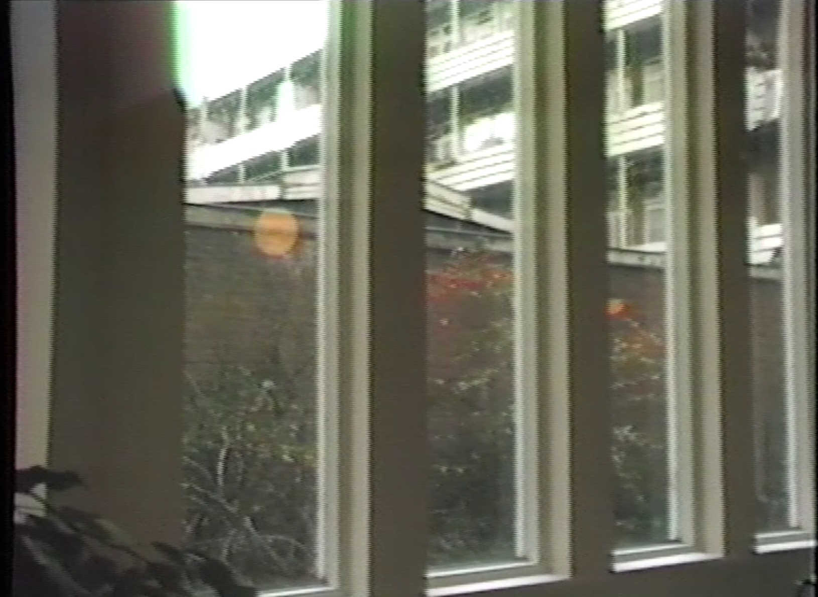 1983 FILM Ruziefilm. Gesprek