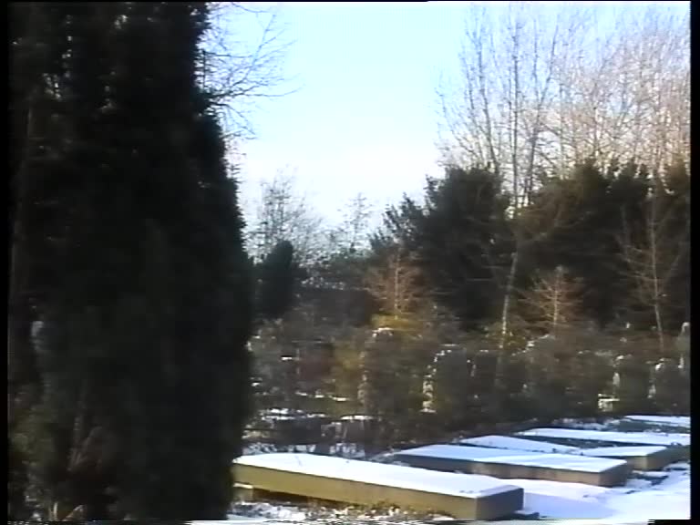 Video 1