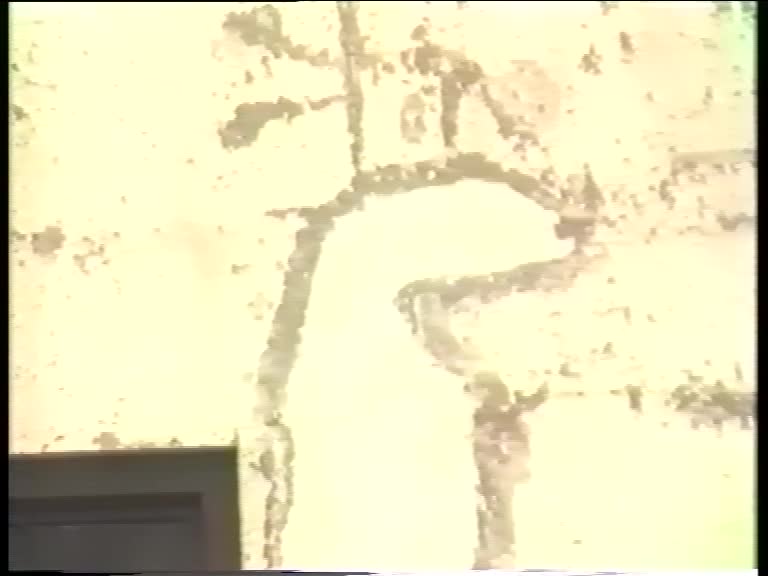 Video 1